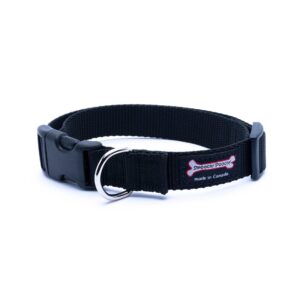 Smoochy Poochy Nylon Clip Collar 5/8"