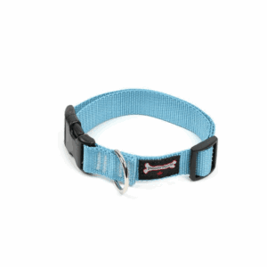 Smoochy Poochy Nylon Clip Collar Turquoise