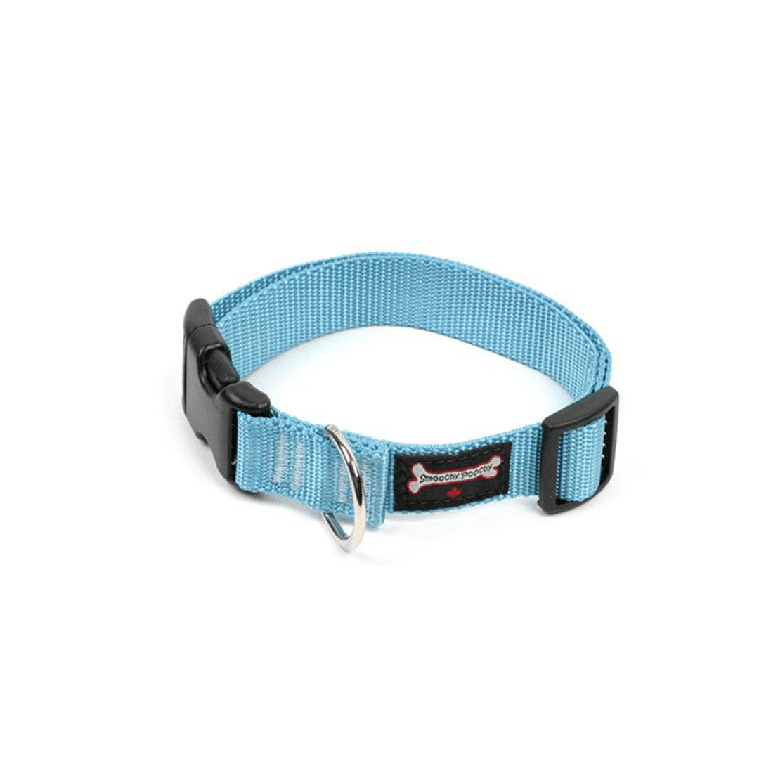 Smoochy Poochy Nylon Clip Collar Turquoise