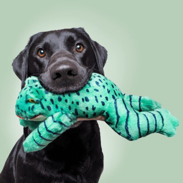 Fluff & Tuff Toy Oliver Frog - Image 3