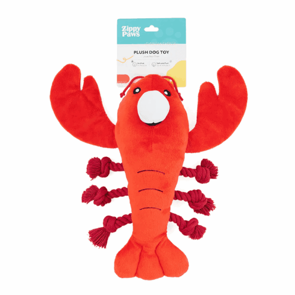 ZippyPaws Playful Pal – Luca the Lobster - Image 6
