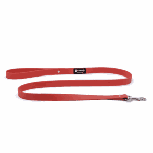 Smoochy Poochy Polyvinyl Leash