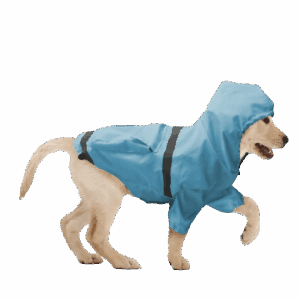 Show & Tail Reversible Rain Coat Blue