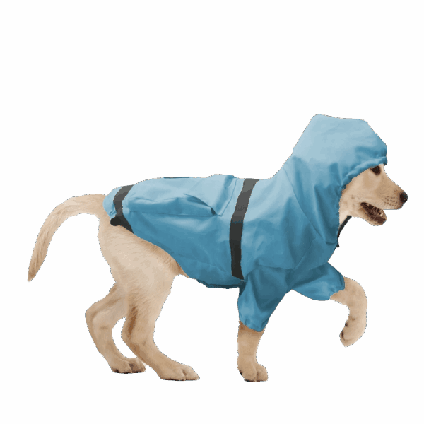 Show & Tail Reversible Rain Coat Blue