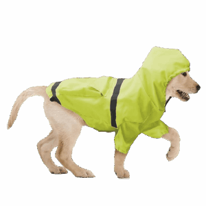 Show & Tail Reversible Rain Coat Neon Green