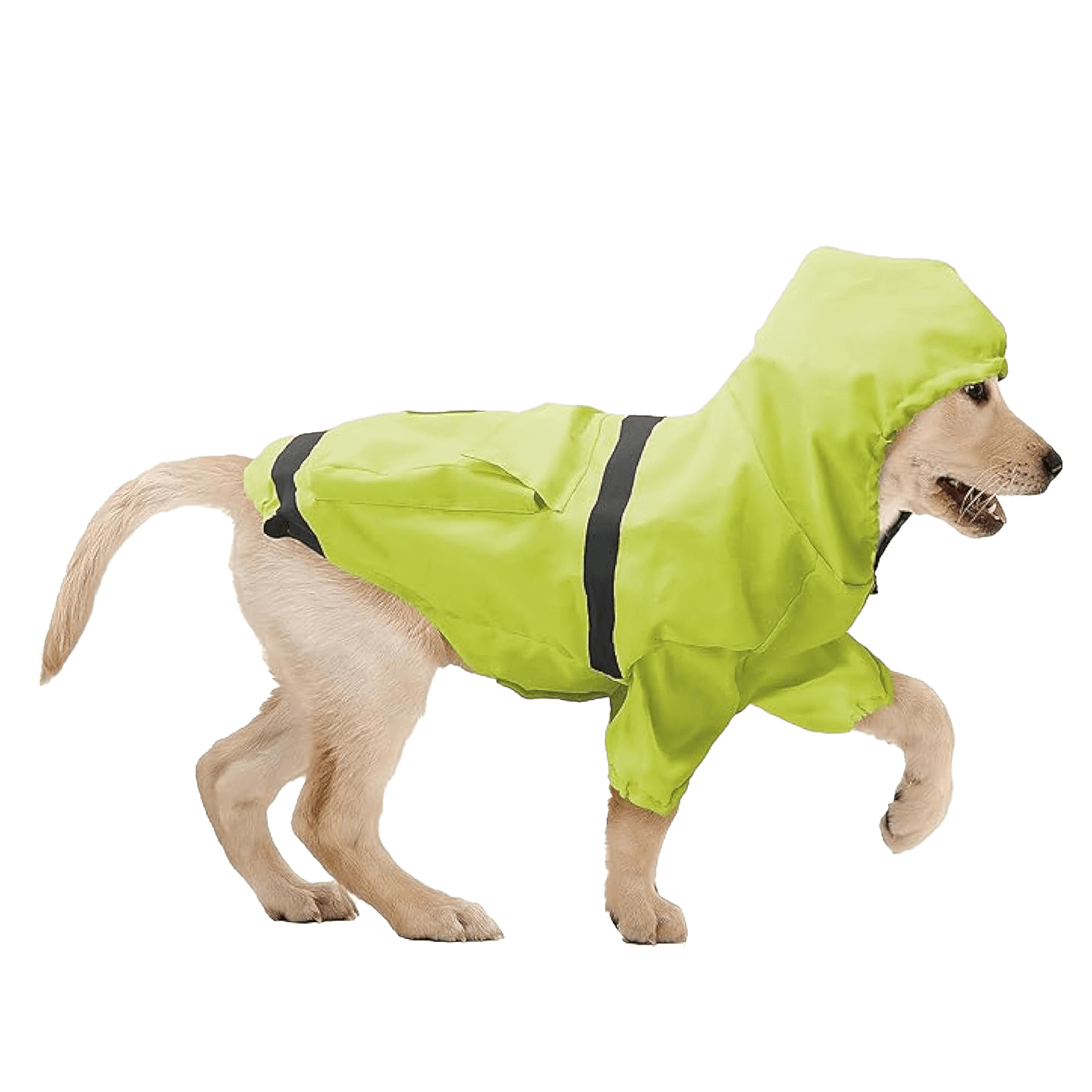 Show & Tail Reversible Rain Coat Neon Green
