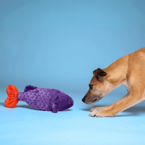 Fluff & Tuff Toy Cici Tropical Fish - Image 4
