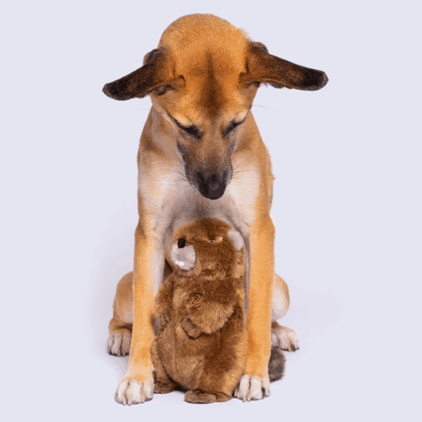 Fluff & Tuff Toy Troy Beaver - Image 3