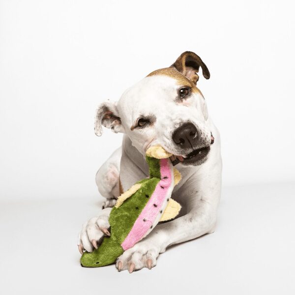 Fluff & Tuff Toy Burt Lake Trout - Image 3