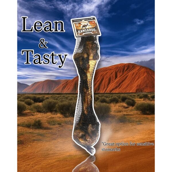 Artisan Farms Smoked Kangaroo Femur - Image 2