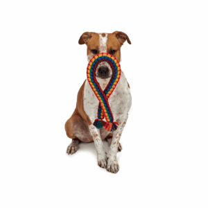 Jax & Bones LGBTQ Rope Dog Toy
