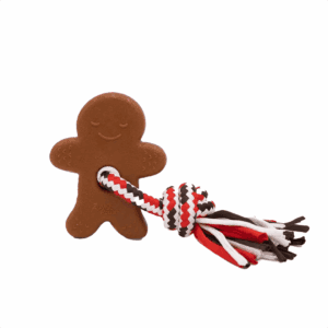 ZippyPaws Xmas Holiday ZippyTuff Teetherz - Gingerbread Man