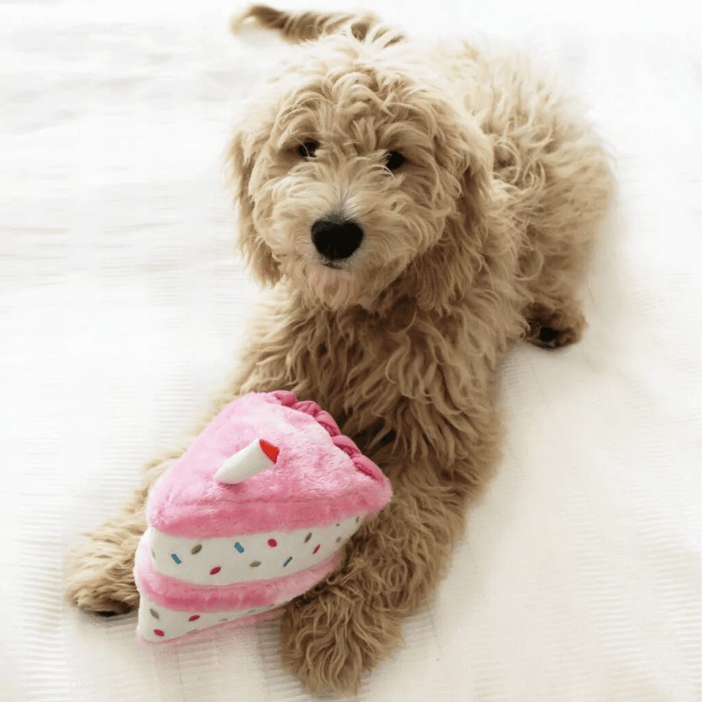 ZippyPaws Toy Birthday Cake Pink - Image 3
