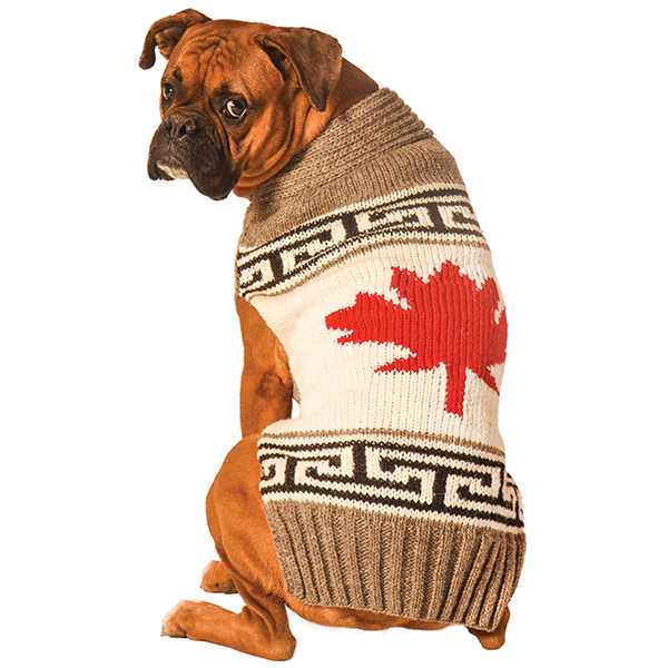 Chilly Dog Canadian Maple Leaf Sweater
