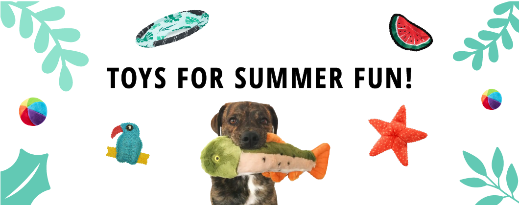 summer 2025 banner