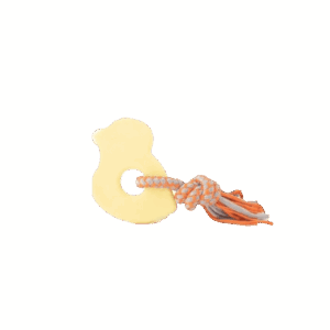 ZippyPaws ZippyTuff Teetherz Bridget The Bird