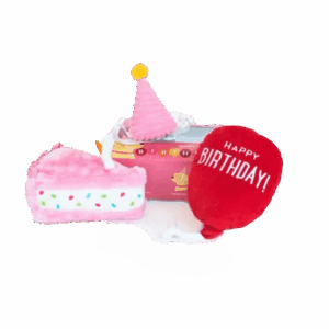 ZippyPaws Pup Birthday Box Pink