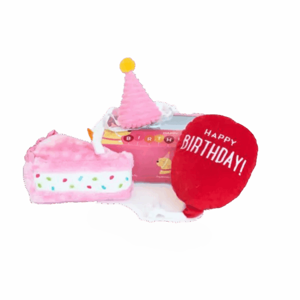ZippyPaws Pup Birthday Box Pink