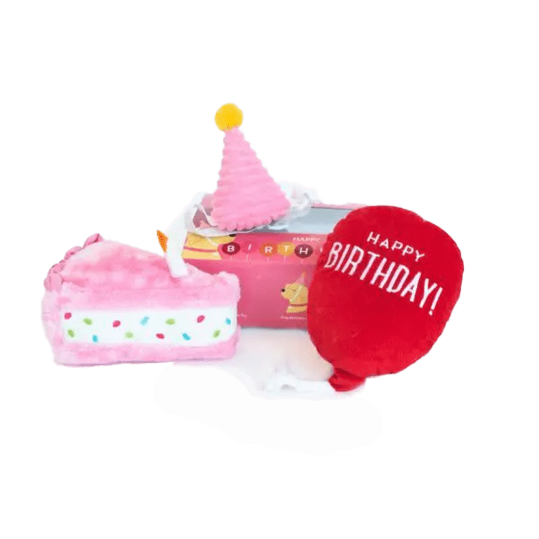 ZippyPaws Pup Birthday Box Pink