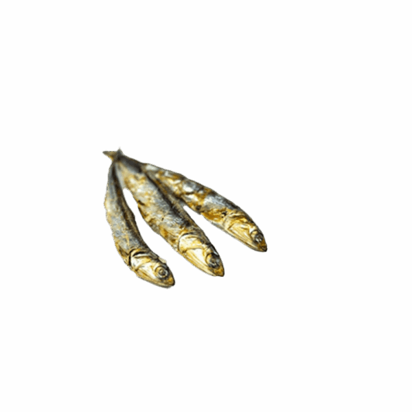 Just Raw Pet Food Anchovy - Image 3