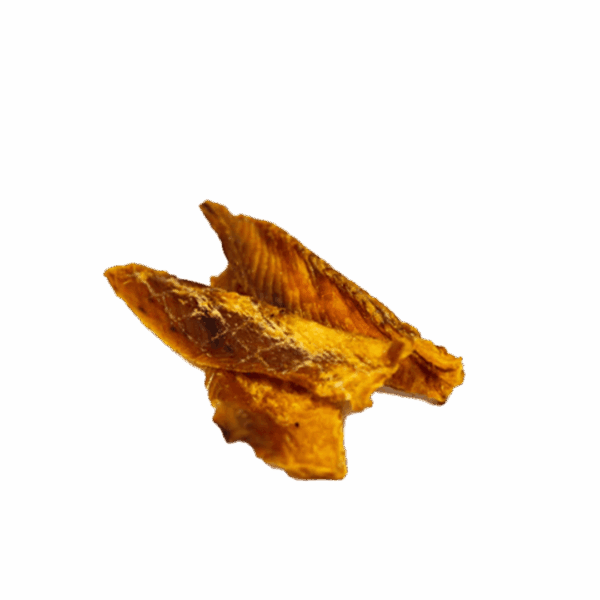 Just Raw Pet Food Salmon Fillet - Image 3
