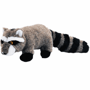 Petlou Raccoon