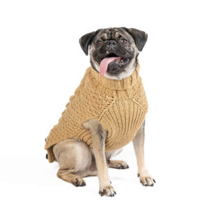 Chilly Dog Camel Alpaca Cable Knit Sweater