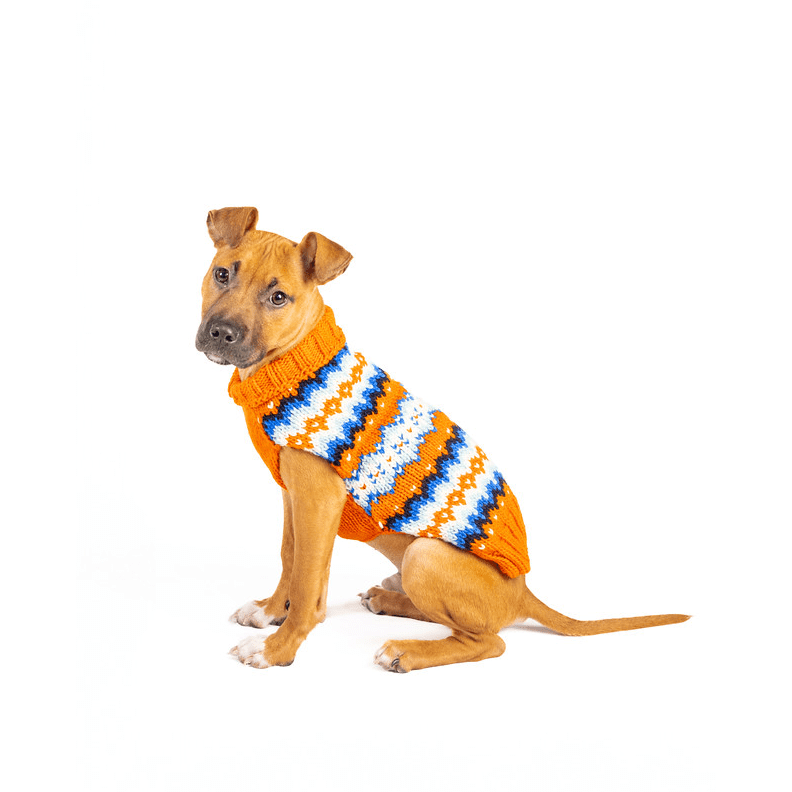 Chilly Dog Campfire Sweater