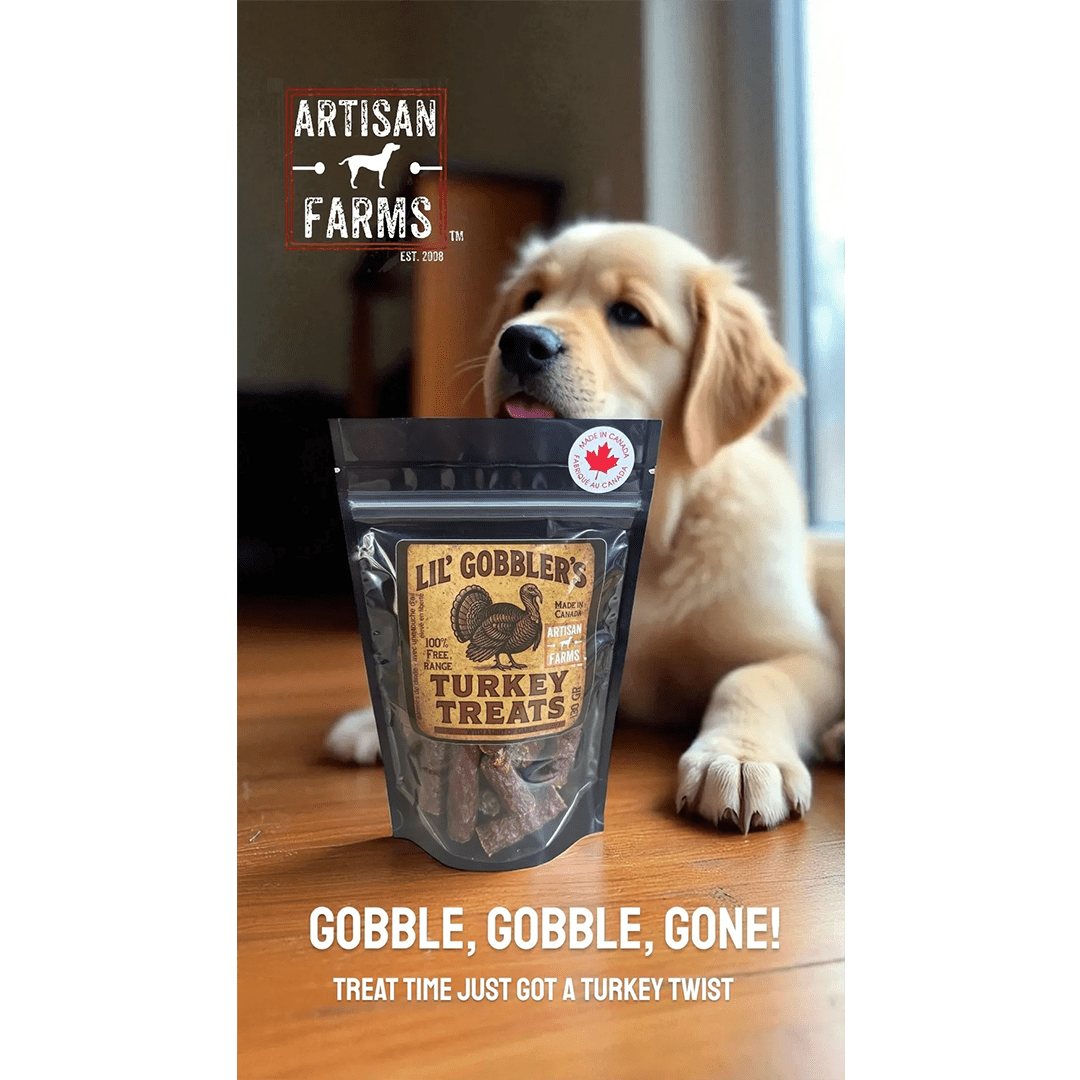 Artisan Farms Turkey Gobble Stick 12pk - Image 4
