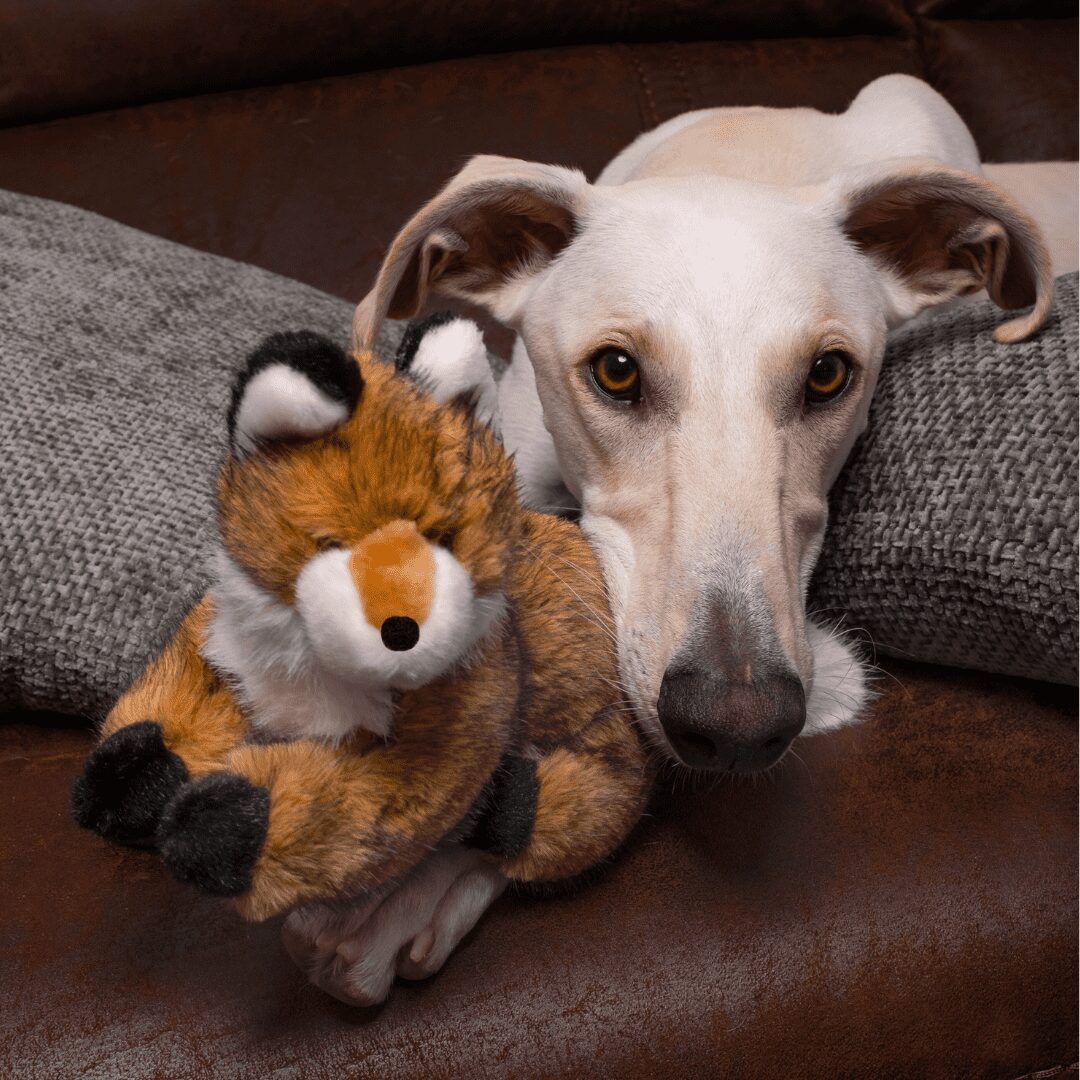 Fluff & Tuff Toy Jasper Fox Small - Image 5