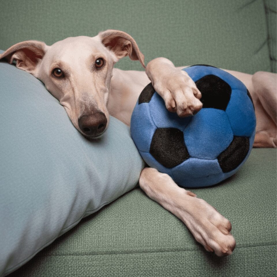 Fluff & Tuff Toy Soccer Ball Blue Large - Image 3