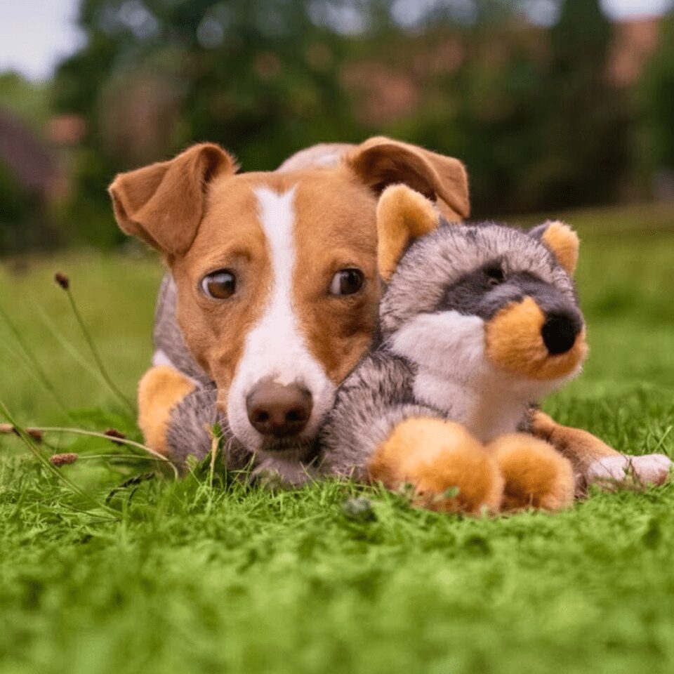 Fluff & Tuff Toy Sterling Fox Medium+ - Image 5