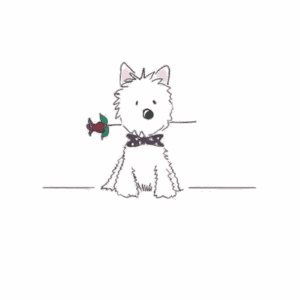 JK Greeting Card Charlie Rose
