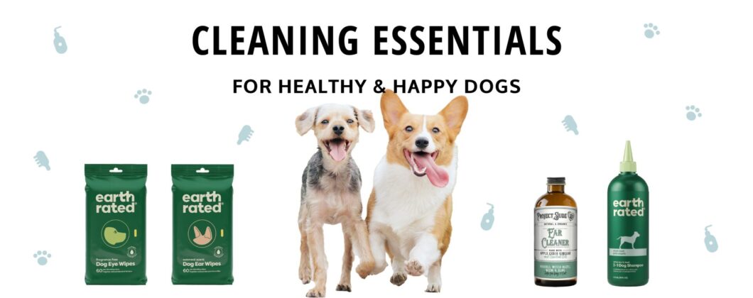 cleaning essentials bannerv2