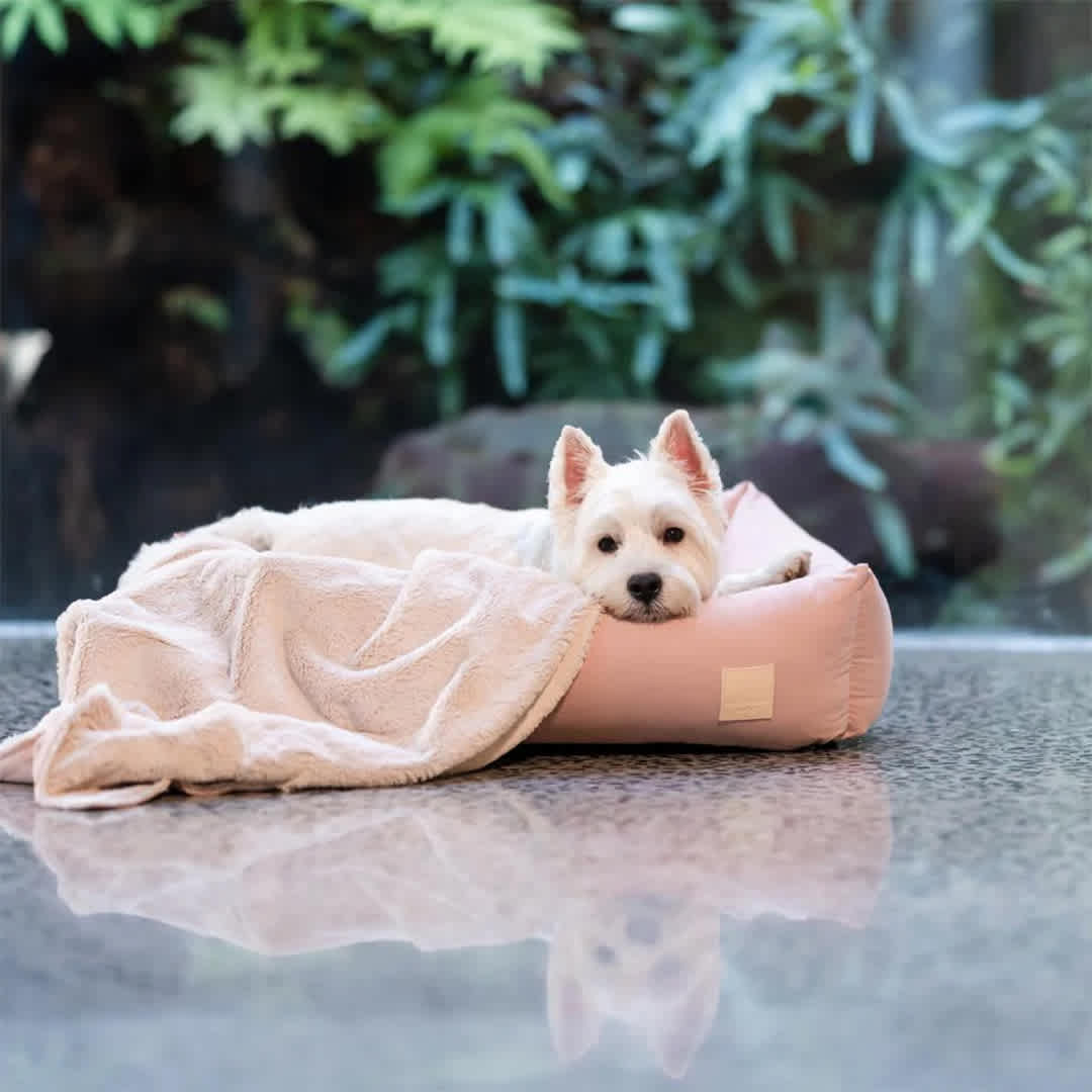 FuzzYard Life Pet Blanket Soft Blush S - Image 3