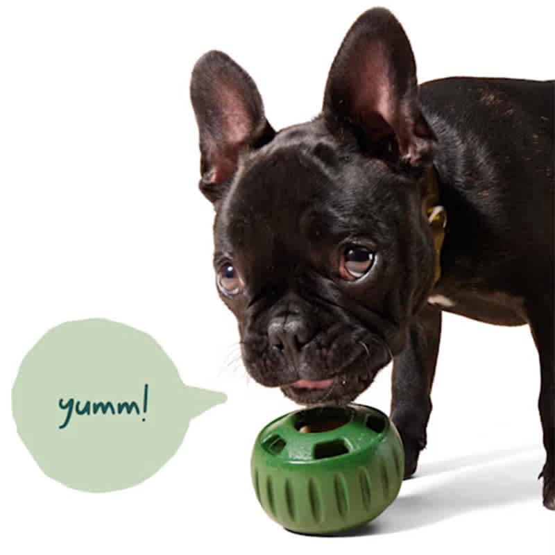 Woof The Pupsicle Green - Image 5