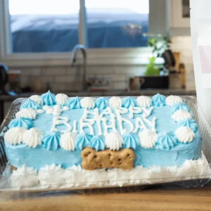 bday cake blue rectangle