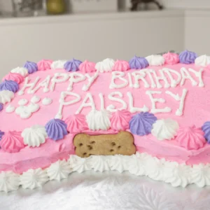 bday cake bone shape