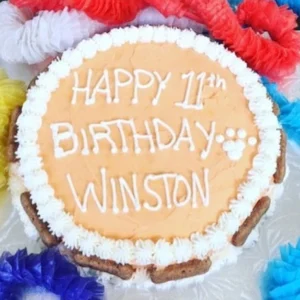bday cake round shape