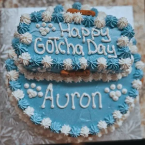 bday cake two tiers