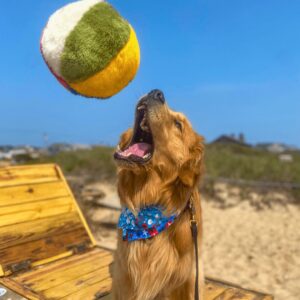 Fluff & Tuff Toy Beach Ball