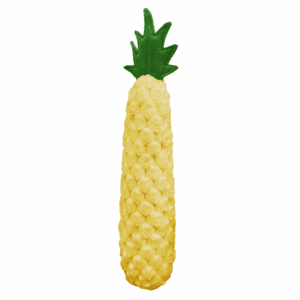 Petlou Pineapple 29"