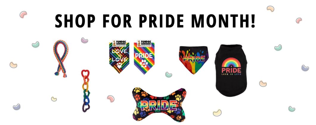 pride-banner 2026