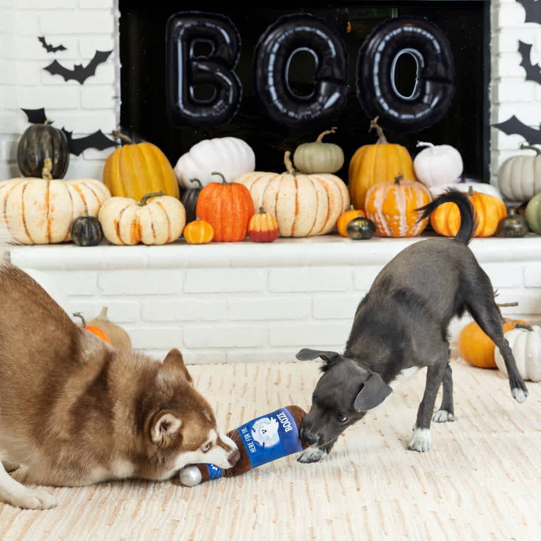 Pet Shop by Fringe Studio Pet Toy Here For The Boo-ze - Image 3