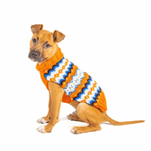 Chilly Dog Campfire Sweater