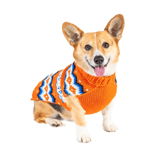 Chilly Dog Campfire Sweater - Image 4