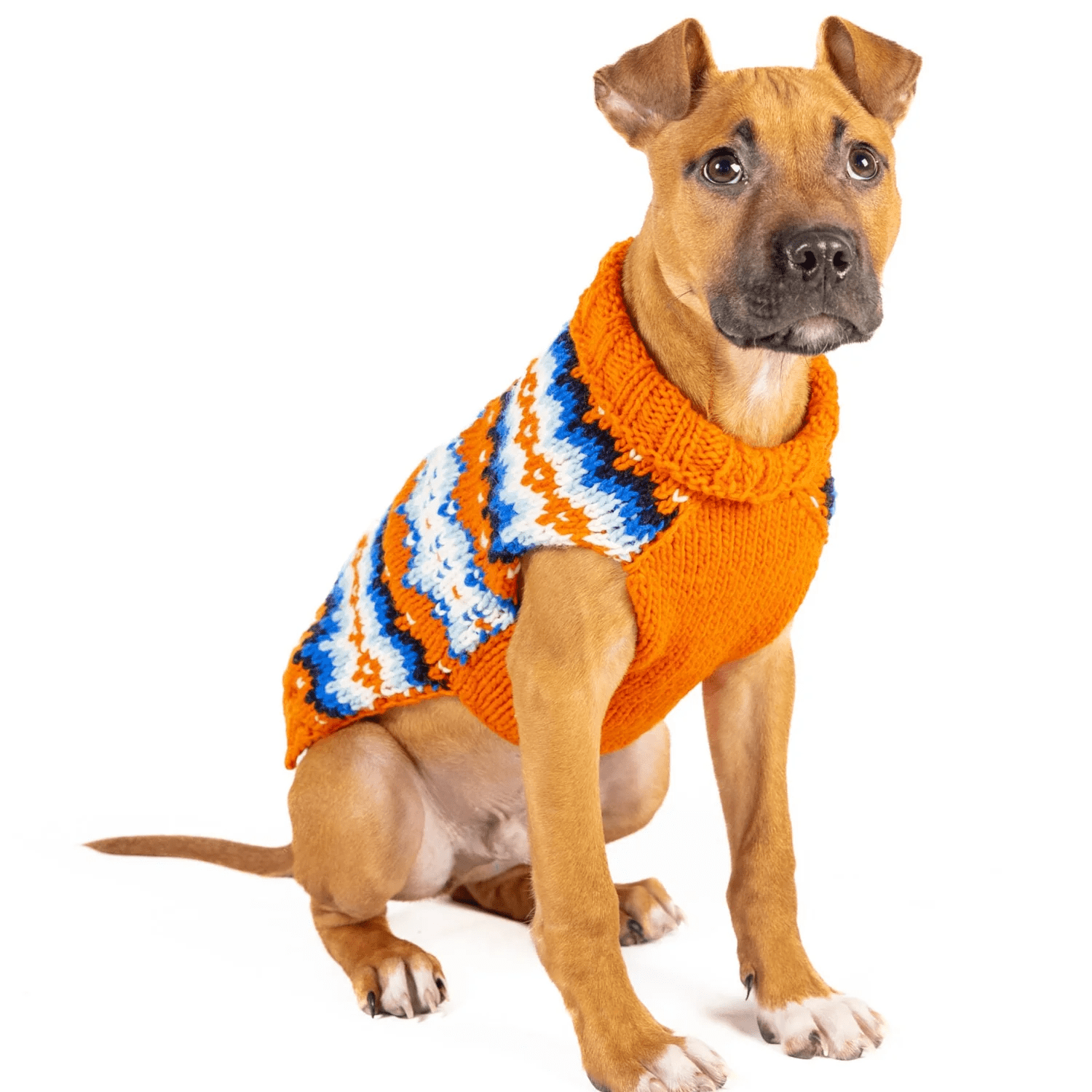 Chilly Dog Campfire Sweater - Image 2