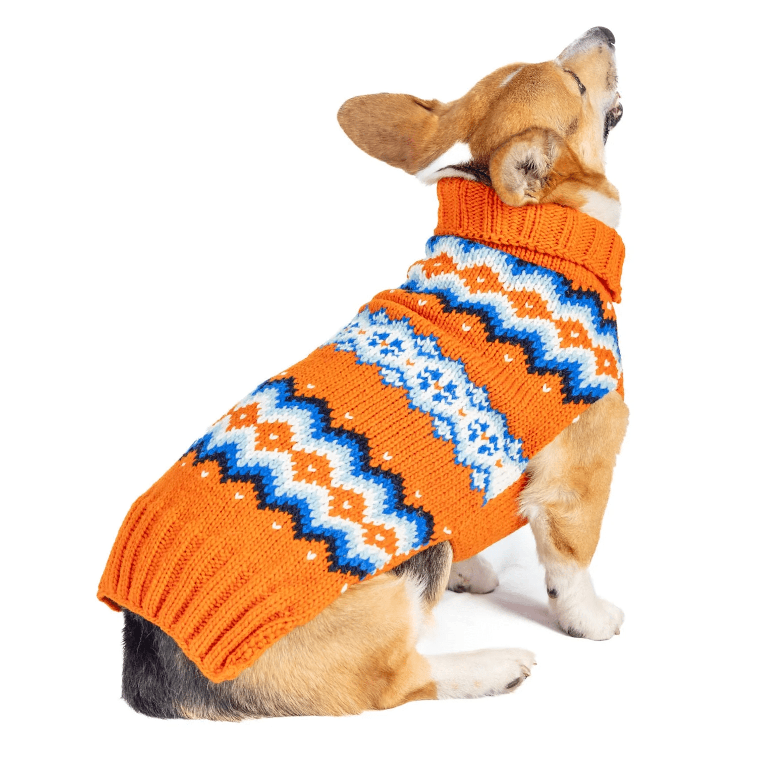 Chilly Dog Campfire Sweater - Image 3