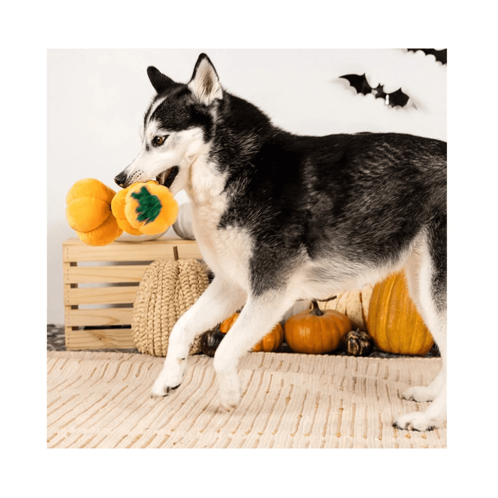 Pet Shop by Fringe Studio Halloween Stack-O-Lantern - Image 3