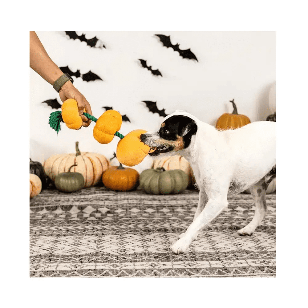 Pet Shop by Fringe Studio Halloween Stack-O-Lantern - Image 4